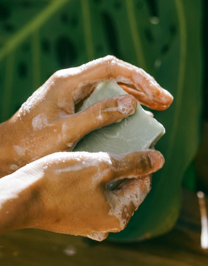 Aloe Eucalyptus Soap